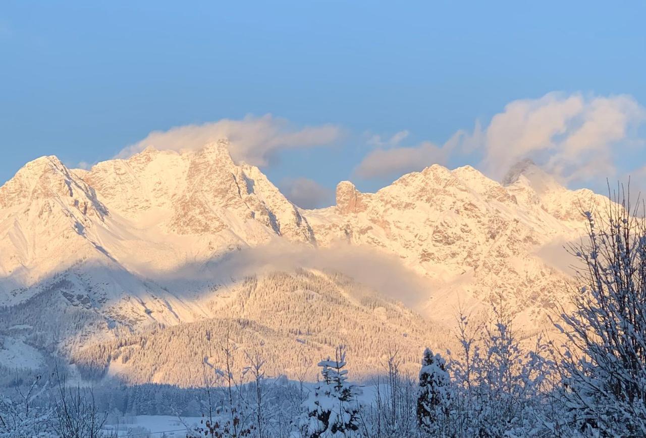 Bergblick Leilighet Saalfelden Eksteriør bilde
