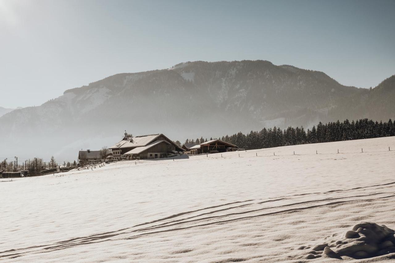 Bergblick Leilighet Saalfelden Eksteriør bilde