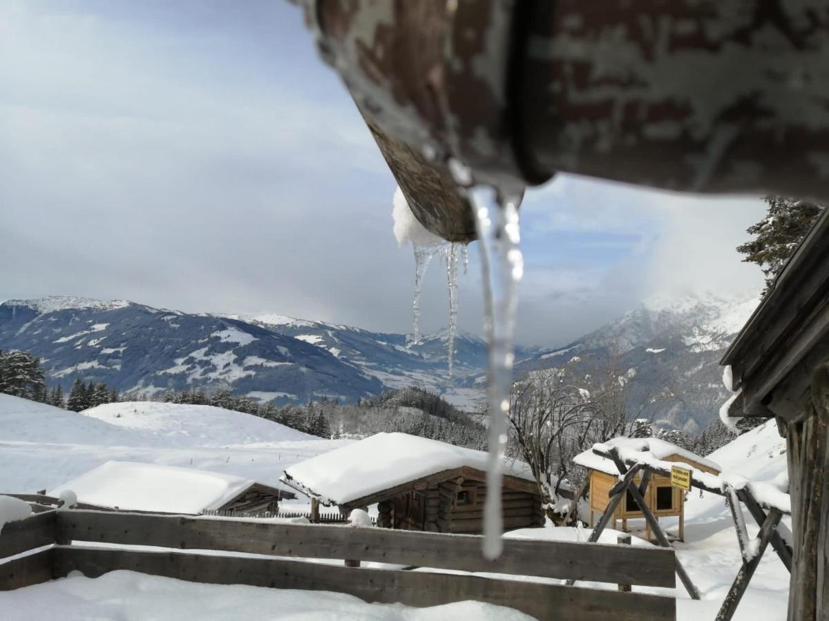 Bergblick Leilighet Saalfelden Eksteriør bilde