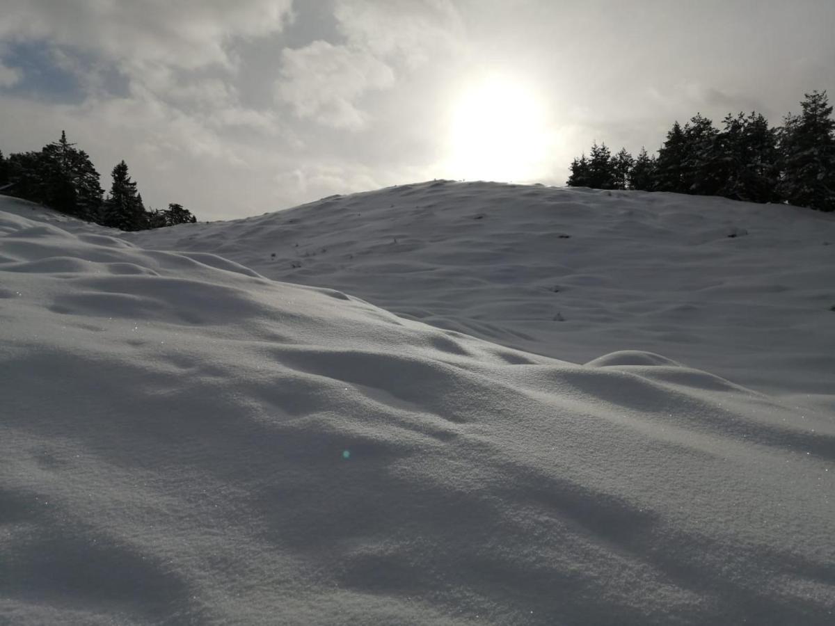 Bergblick Leilighet Saalfelden Eksteriør bilde
