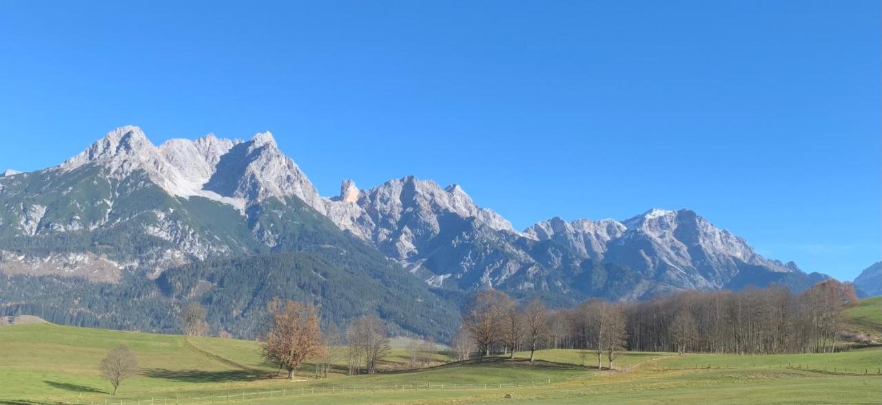 Bergblick Leilighet Saalfelden Eksteriør bilde